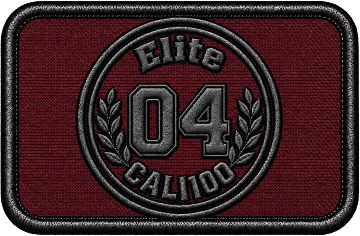 04 Elite patch